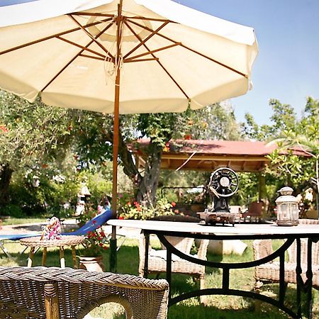 Rozalia Studios Sivota  Exterior photo